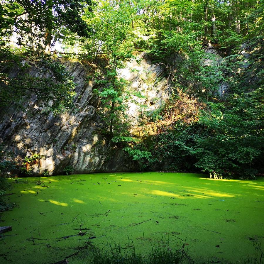 Osrodek Natura Pokrzywna Exterior foto